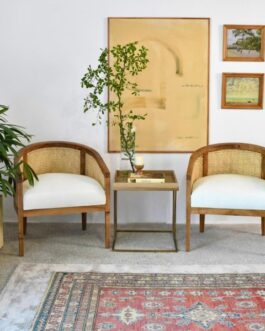 ELDER – Sophisticated Cane Chair