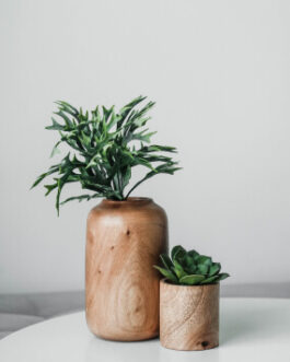 Wooden Greenery